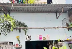 Nhà Riêng Giá Tốt Gần Chợ Bùi Minh Trực - Cơ Hội Vàng Cho Nhà Đầu Tư... Bán nhà riêng tại Bình Đông, Hồ Chí Minh 02