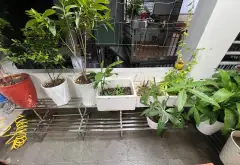Nhà mặt phố Trường Thọ, 2 tầng, rộng rãi, giá hấp dẫn... Bán nhà mặt phố tại Thủ Đức, Hồ Chí Minh 15