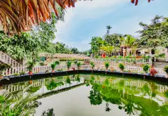 CỰC PHẨM BA VÌ.HÀ NỘI... Bán bất động sản khác tại Ba Vì, Hà Nội 05