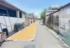 🌺ĐÓN ĐẦU DỰ ÁN KCN 300HA ĐÔNG ANH MỚI KHỞI CÔNG - ĐƯỜNG THÔNG OTO TRÁNH - CÁCH ĐƯỜNG LIÊN XÃ... Bán đất tại Thư Lâm, Hà Nội 03