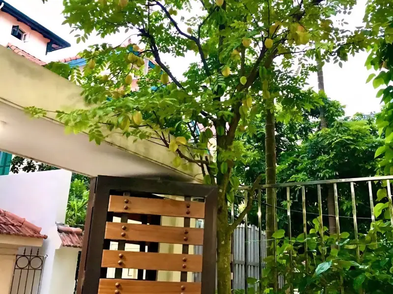 Bán nhà riêng 95m2. 5 tầng thang máy và gara ô tô tại Ngọc Thụy Bồ Đề HN.Giá cực tốt...... Bán nhà riêng tại Bồ Đề, Hà Nội 01