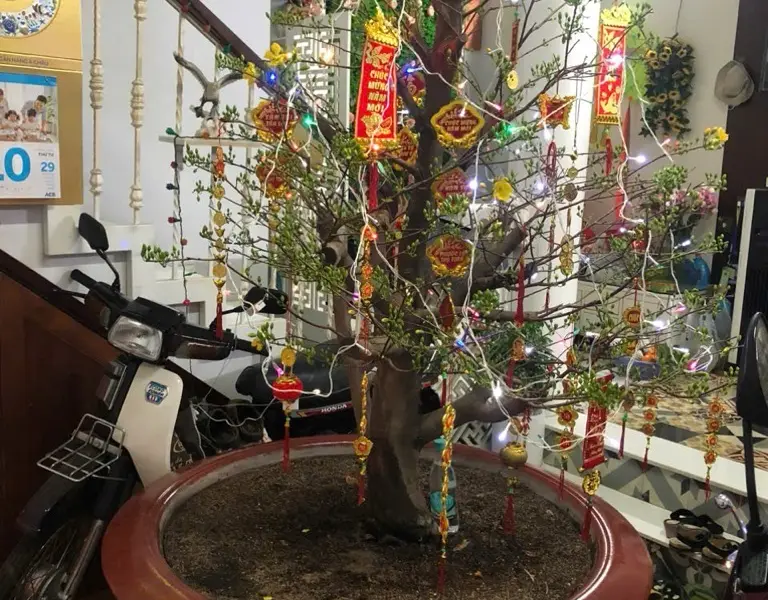 Bán nhà riêng 3 tầng tại Đất Thánh, Tân Bình, mặt tiền rộng 9.5m... Bán nhà riêng tại Tân Hòa, Hồ Chí Minh 01