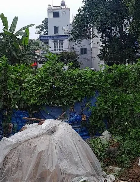 Đất Vàng Hương Đình Sóc Sơn – Mặt Tiền Rộng, Sổ Đỏ Sạch... Bán đất tại Sóc Sơn, Hà Nội 01