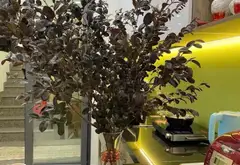Nhà 5 tầng tại Phường Bình Lợi Trung, Hồ Chí Minh, phù hợp gia đình nhiều thế hệ... Bán nhà riêng tại Bình Lợi Trung, Hồ Chí Minh 07