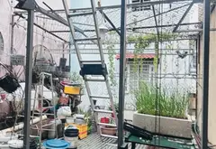Nhà mặt phố 2 tầng tại Phường Phú Thọ Hòa, quận Tân Phú, diện tích 64m²... Bán nhà mặt phố tại Phú Thọ Hòa, Hồ Chí Minh 10