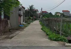 Đất góc ô tô sạch sẽ gần đường nhựa, tiềm năng tăng giá vượt trội... Bán đất tại Ninh Xá, Bắc Ninh 05