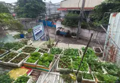 Bán nhà mặt phố An Phú, Thuận An, Bình Dương, 83m2, kinh doanh ô tô, giá 3.85 tỷ... Bán nhà mặt phố tại An Phú, Hồ Chí Minh 10