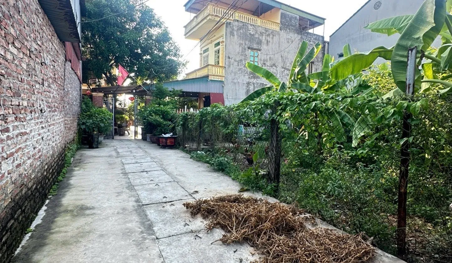 ⭕️ QUANG MINH TIẾN THẮNG GIÁP CHỢ HOA QUẢ 85M2 ĐẤT Ô TÔ VÀO VÀI BƯỚC RA PHỐ CHỈ 3.x Tỷ VÕ VĂN KIỆT... Bán đất tại Quang Minh, Hà Nội 01