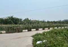Đất đẹp 2 mặt thoáng ở Hoàn Long, Hưng Yên, giá hợp lý... Bán đất tại Hoàn Long, Hưng Yên 03