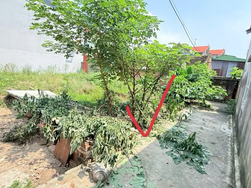 Bán đất 65m² mặt tiền 4.1m tại phường Từ Sơn, Bắc Ninh... Bán đất tại Từ Sơn, Bắc Ninh 01