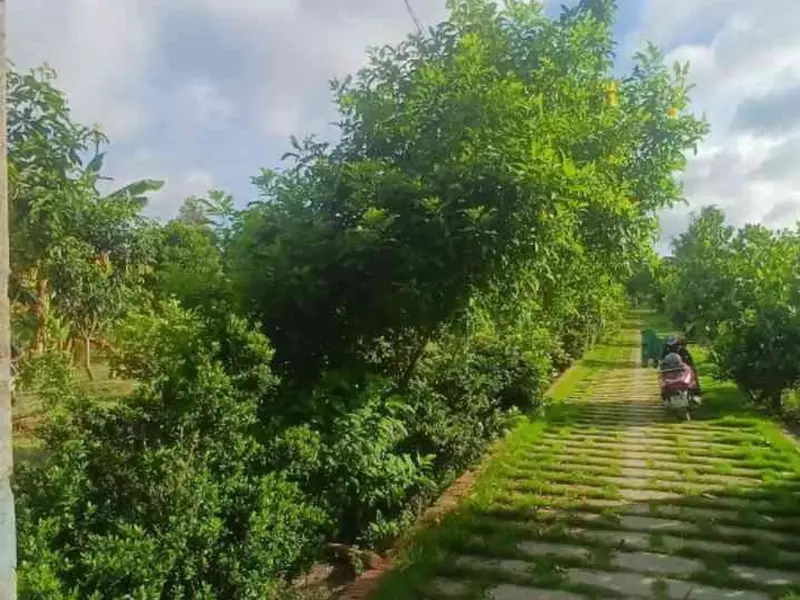 Bán đất rộng 5046m2 hướng Nam, mặt tiền 24m tại xã Vườn Thơm... Bán đất tại Bình Lợi, Hồ Chí Minh 01