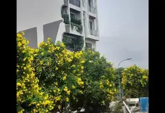 Nhà Phân Lô VIP Gò Vấp - Sống Sang, Tiện Lợi Từng Mét Vuông... Bán nhà riêng tại An Hội Đông, Hồ Chí Minh 04