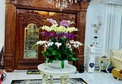 Siêu biệt thự 250m2 lô góc 4 thoáng đẳng cấp tại khu đô thị Việt Hưng, Long Bi- giá ưu đãi bất ngờ... Bán biệt thự, liền kề tại Việt Hưng, Hà Nội 04