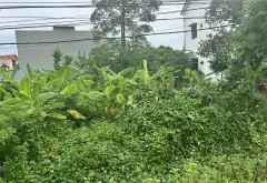 Đất phân lô thôn Vàng, vị trí vàng chờ bứt phá... Bán đất tại Gia Bình, Bắc Ninh 13
