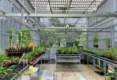 Bán nhà 4 tầng diện tích 93m² khu Tân Sơn, đường rộng 12m... Bán nhà riêng tại Tân Sơn, Hồ Chí Minh 07
