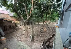 Nhà rộng sân vườn ở Đan Phượng, tận hưởng không gian trong lành... Bán nhà riêng tại Đan Phượng, Hà Nội 06