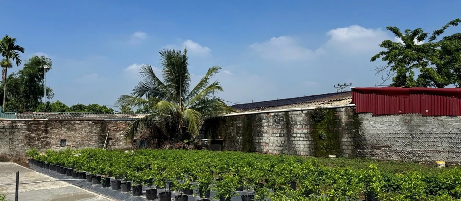 Bán đất thôn AB diện tích 44.9 m² gần khu vực sân vận động, pháp lý sổ đỏ... Bán đất tại Văn Giang, Hưng Yên 01