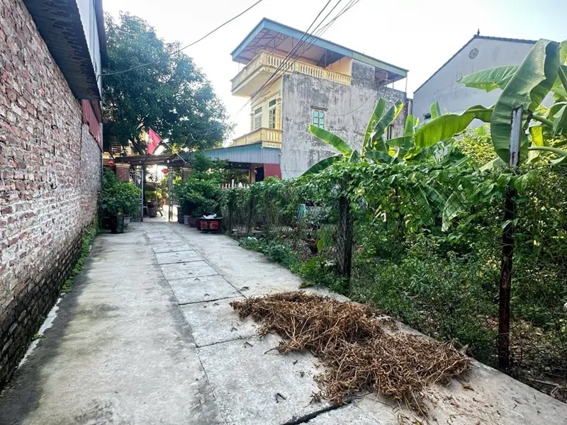 ⭕️ QUANG MINH TIẾN THẮNG GIÁP CHỢ HOA QUẢ 85M2 ĐẤT Ô TÔ VÀO VÀI BƯỚC RA PHỐ CHỈ 3.x Tỷ VÕ VĂN KIỆT... Bán đất tại Quang Minh, Hà Nội 01