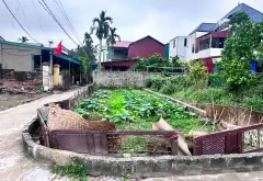 Đất Văn Giang mặt tiền rộng - Cơ hội đầu tư siêu tiềm năng... Bán đất tại Văn Giang, Hưng Yên 04
