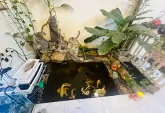 Bán nhà riêng 4 tầng tại khu vực phát triển, gần vành đai 4... Bán nhà riêng tại Hoài Đức, Hà Nội 03