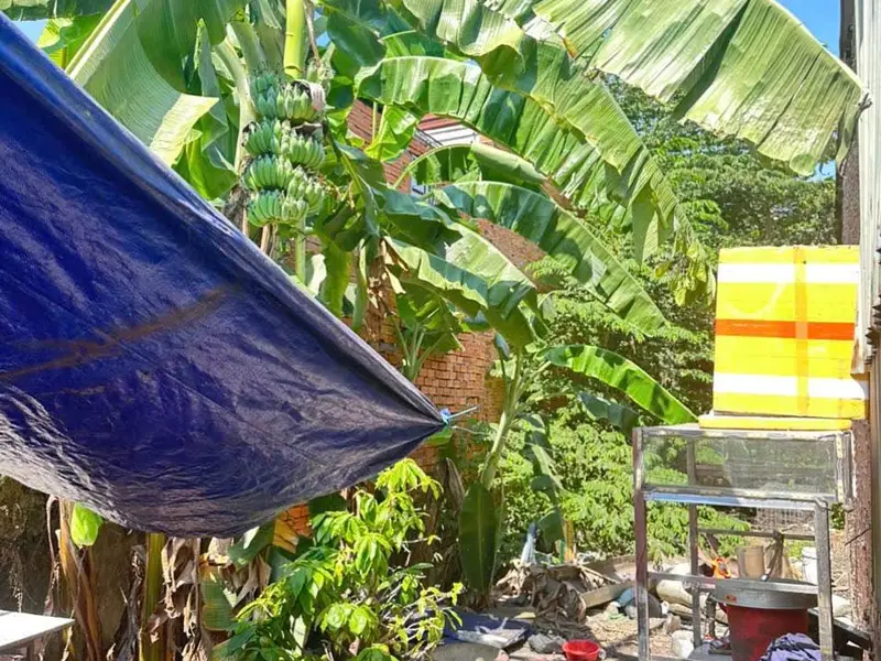 Căn Nhà Cũ Sát Mặt Tiền - Cơ Hội Vàng Cho Nhà Đầu Tư!... Bán nhà riêng tại Bình Hưng Hòa, Hồ Chí Minh 01