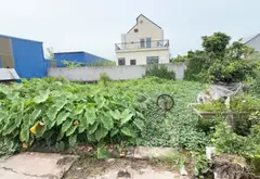Đất - 63.1m² - An Quang, An Lão, Hải Phòng - 9.5 tỷ... Bán đất tại An Quang, Hải Phòng 02