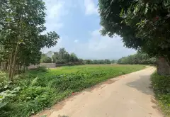 Bán đất Bắc Sơn diện tích rộng 823m², mặt tiền 35m, giá tốt... Bán đất tại Trung Giã, Hà Nội 07