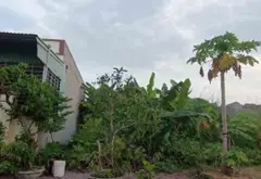Lô đất 80m2 đường rộng ba làn ô tô tại khu tái định cư Gia Minh, Thủy Nguyên... Bán đất tại Thủy Nguyên, Hải Phòng 01