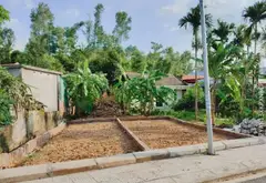 Cơ hội hiếm có sở hữu đất vàng tại trung tâm phường Hòa Bình, Thừa Thiên Huế... Bán đất tại Thiên Hương, Hải Phòng 02