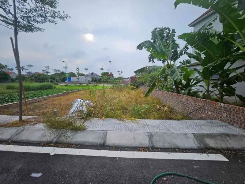 Đất đông tảo-hưng yên,bứt phá theo dự án vành đai 4 và sân vận động PVF, đầu tư đón sóng hạ tầng... Bán đất tại Hoàn Long, Hưng Yên 01