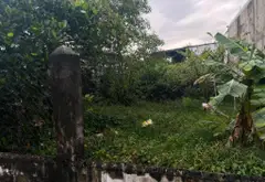 Bán đất Hồ Văn Tắng Củ Chi diện tích 231.5m2 mặt tiền 10m pháp lý rõ ràng... Bán đất tại Củ Chi, Hồ Chí Minh 03
