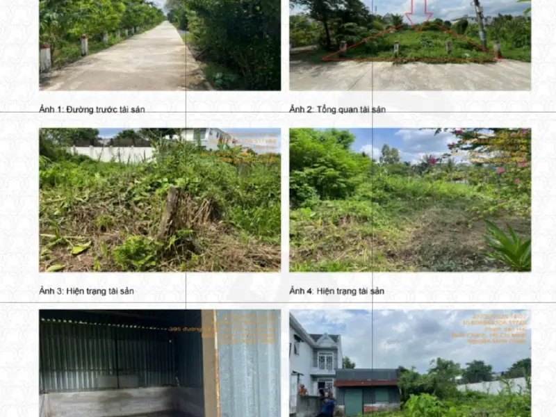 Bán đất rộng mặt tiền lớn tại An Hạ, tiềm năng tăng giá vượt trội... Bán đất tại Vĩnh Lộc, Hồ Chí Minh 01