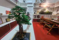 Sang Trọng Nhà Mặt Phố Trung Tâm Hải Châu – Đầu Tư Đẳng Cấp... Bán nhà mặt phố tại Hải Châu, Đà Nẵng 05