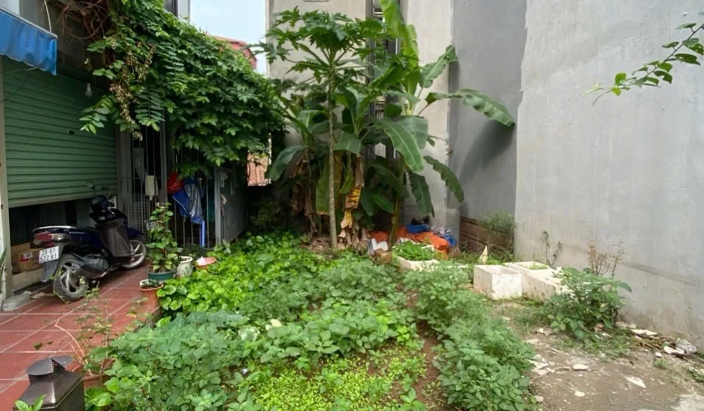 Bán đất mặt tiền 5m tại khu vực có nhiều tiện ích trường học, diện tích 69.8 m2... Bán đất tại Phúc Lợi, Hà Nội 01