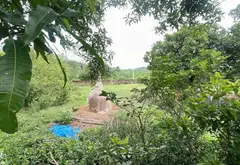Bán đất 4187m2 Thôn 2 Trung Giã, mặt tiền 105m, đường ô tô thông... Bán đất tại Trung Giã, Hà Nội 07