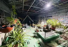 Nhà 4 tầng ô tô vào tận nơi, tiện nghi giữa lòng Hà Đông... Bán nhà riêng tại Phú Lương, Hà Nội 06