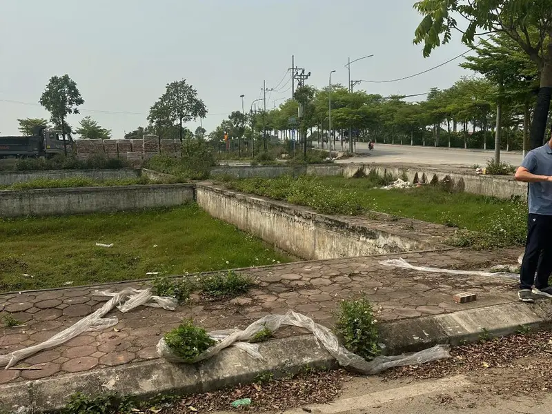 Đất Đấu giá siêu đẹp tại Đan Phượng Hà Nội, ô tô tránh, vỉa hè rộng, ngay vành đai 4... Bán đất tại Đan Phượng, Hà Nội 01