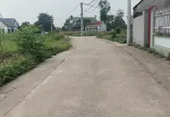 Bán đất 100m² tại Đồi Bông, Thái Lai, Kim Anh, 2 mặt ngõ tiện lợi... Bán đất tại Kim Anh, Hà Nội 06