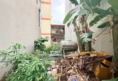 Lô đất vàng tại Tân Thới Hiệp, Quận 12 - Đất đẹp, giá tốt... Bán đất tại Tân Thới Hiệp, Hồ Chí Minh 05