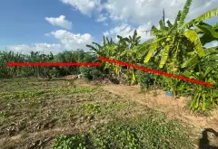 Đất ruộng rộng rãi tại Bình Trù, Thuận An, Gia Lâm giá hấp dẫn... Bán đất tại Thuận An, Hà Nội 01