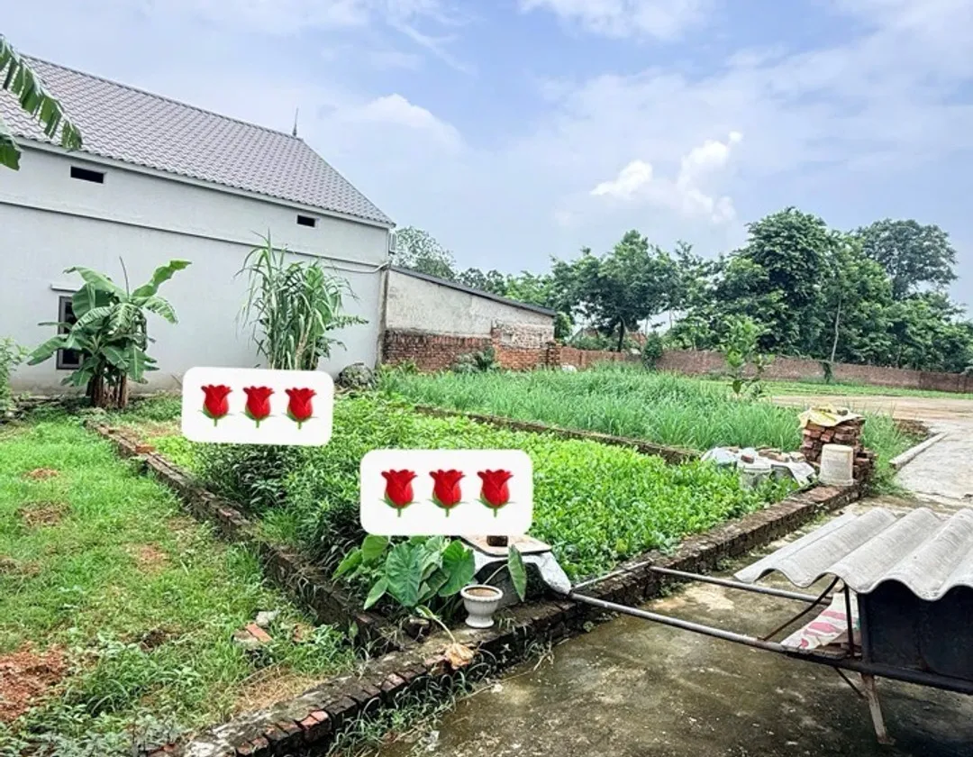 Đất trung tâm Thôn Thanh Lại - Đầu tư nhỏ sinh lời lớn... Bán đất tại Sóc Sơn, Hà Nội 01