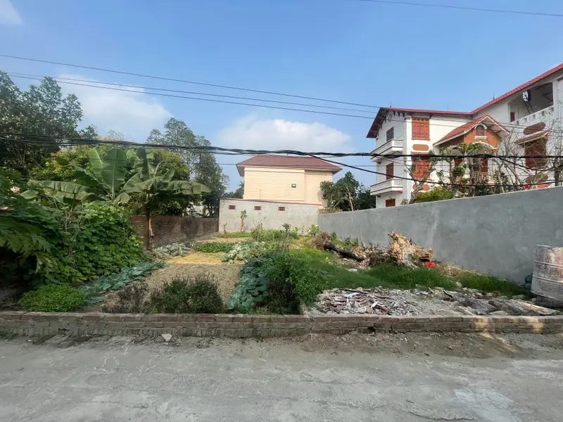 Đất Vuông Vắn 100m² Tại Đan Tảo Sóc Sơn - Ngõ Rộng Ô Tô Vào Tận Nơi... Bán đất tại Sóc Sơn, Hà Nội 01
