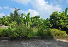Mua đất tặng nhà 3tầng gần trung tâm phường hiệp Hòa Bắc Ninh. Tiện ích xung quanh đầy đủ... Bán nhà riêng tại Hiệp Hòa, Bắc Ninh 01