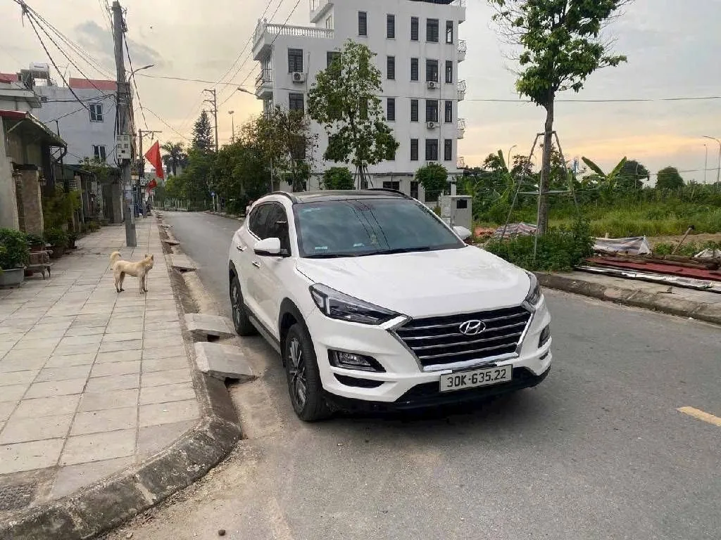 Bán đất mặt tiền rộng 6.1m tại Làng Lê Xá, Mai Lâm, 10m ra ô tô tránh... Bán owner_side tại Đông Anh, Hà Nội 01