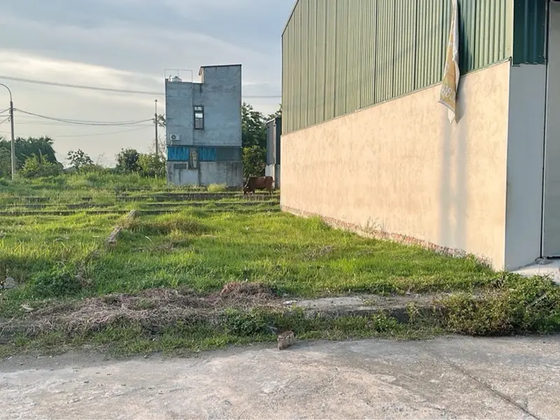Bán đất thổ cư 80m2 mặt tiền 5.3m tại Nguyên Khê, pháp lý cơ sở, giá tốt... Bán đất tại Phúc Thịnh, Hà Nội 01