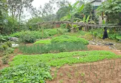 Bán nhà rộng 276m2 tại phường Chương Mỹ, mặt tiền gần 10m... Bán nhà riêng tại Chương Mỹ, Hà Nội 02