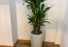 Bán nhà riêng 5 tầng ở Khương Trung, gần hồ, hai thoáng, giao thông thuận tiện... Bán nhà riêng tại Khương Đình, Hà Nội 15