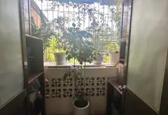 Căn hộ 3PN rộng rãi tại Thanh Xuân - Không gian sống lý tưởng... Bán căn hộ chung cư tại Thanh Xuân, Hà Nội 11