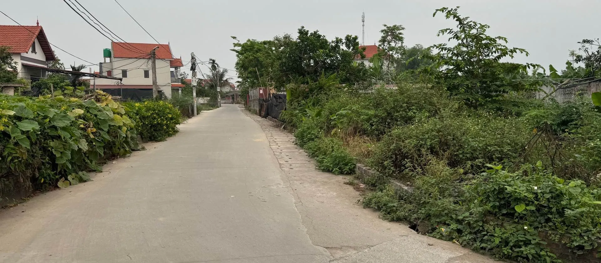 Bán đất lô góc xã Triệu Việt Vương, Hưng Yên, diện tích 54m2 pháp lý cơ sở... Bán đất tại Triệu Việt Vương, Hưng Yên 01