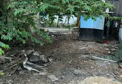 Sở hữu mảnh đất cực rộng mặt tiền 10m tại Bình Tân... Bán nhà riêng tại Bình Tân, Hồ Chí Minh 03